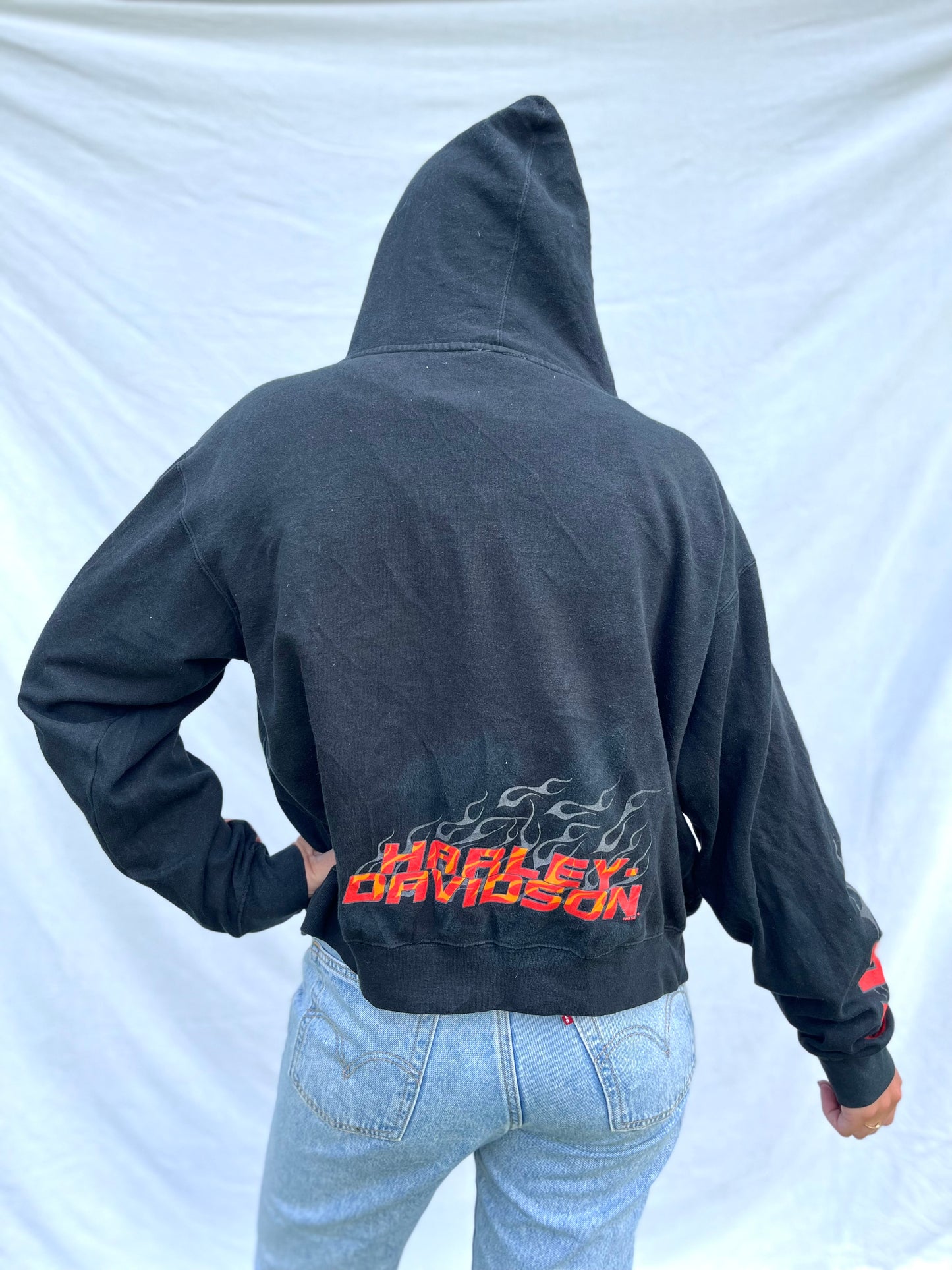 2003 Harley Davidson Zip Hoodie | L